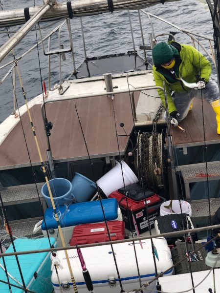 あみや渡船 JIGBOY 釣果