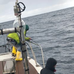 あみや渡船 JIGBOY 釣果