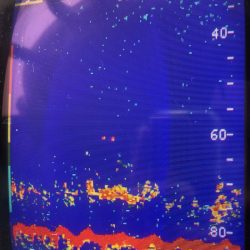 あみや渡船 JIGBOY 釣果