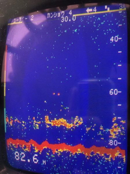 あみや渡船 JIGBOY 釣果