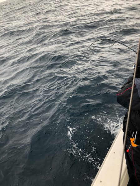 あみや渡船 JIGBOY 釣果