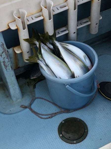 あみや渡船 JIGBOY 釣果