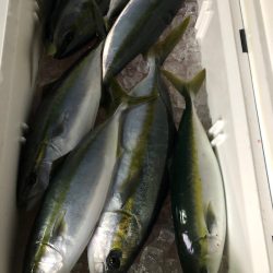 あみや渡船 JIGBOY 釣果