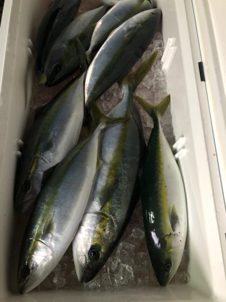 あみや渡船 JIGBOY 釣果