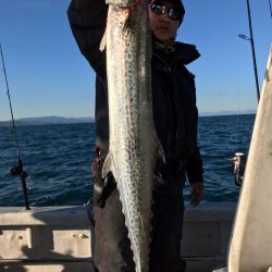 ランスルー 釣果