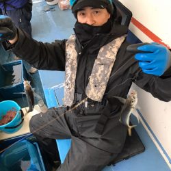 ヤザワ渡船 釣果