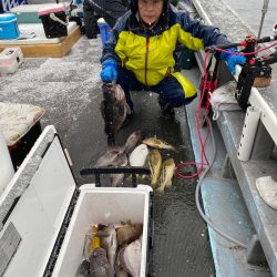 シーランチ 釣果