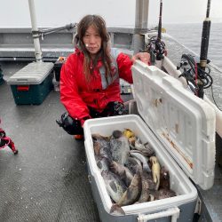 シーランチ 釣果