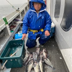 シーランチ 釣果