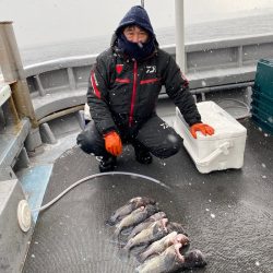 シーランチ 釣果