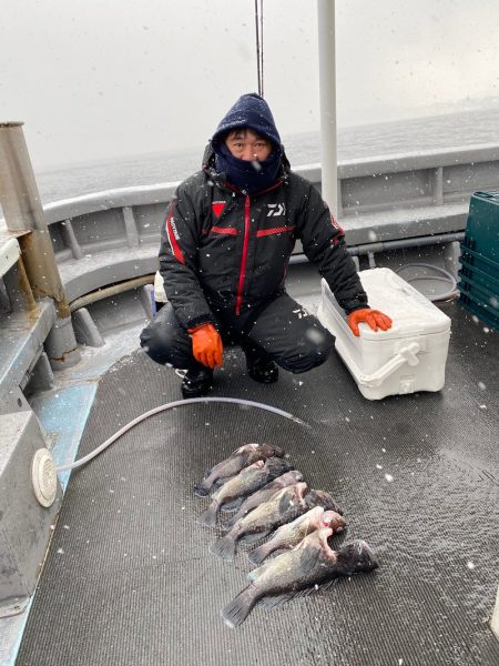 シーランチ 釣果