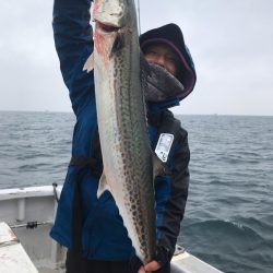 ランスルー 釣果