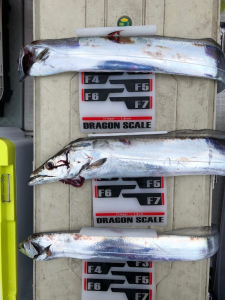 フィッシング キッタカ 釣果