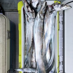 フィッシング キッタカ 釣果