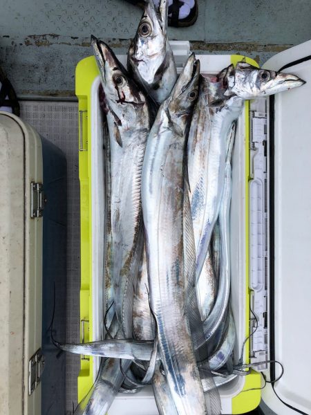 フィッシング キッタカ 釣果