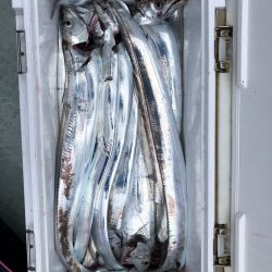 フィッシング キッタカ 釣果