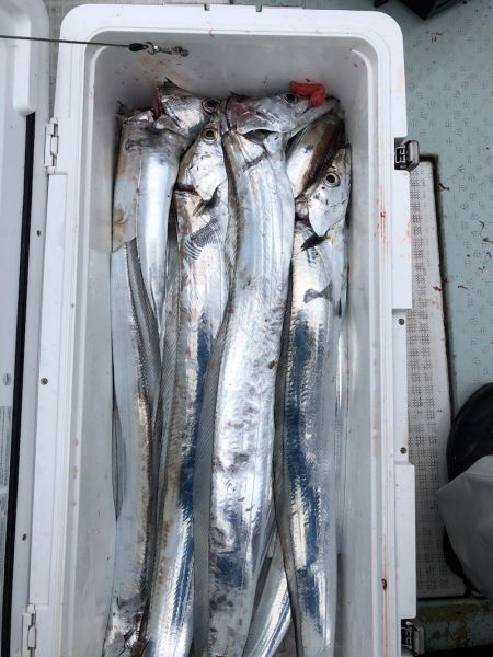 フィッシング キッタカ 釣果