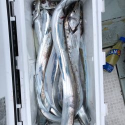 フィッシング キッタカ 釣果