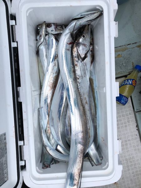 フィッシング キッタカ 釣果