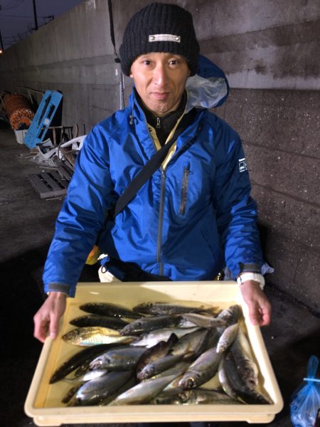 ヤザワ渡船 釣果