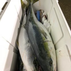 第二八坂丸 釣果