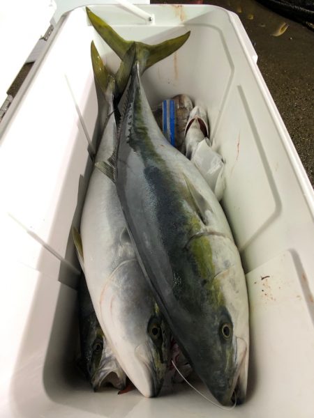 第二八坂丸 釣果