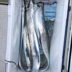 フィッシング キッタカ 釣果