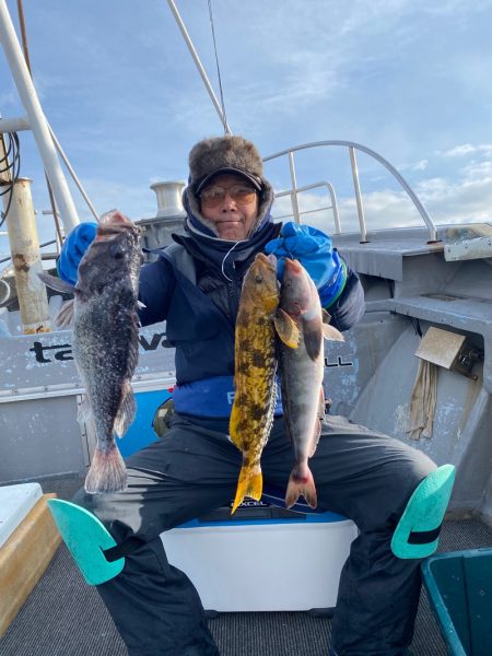 シーランチ 釣果