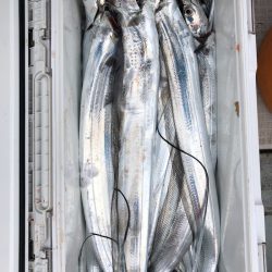 フィッシング キッタカ 釣果