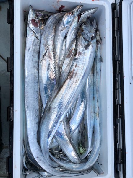 フィッシング　キッタカ 釣果