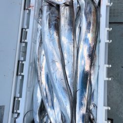 フィッシング　キッタカ 釣果