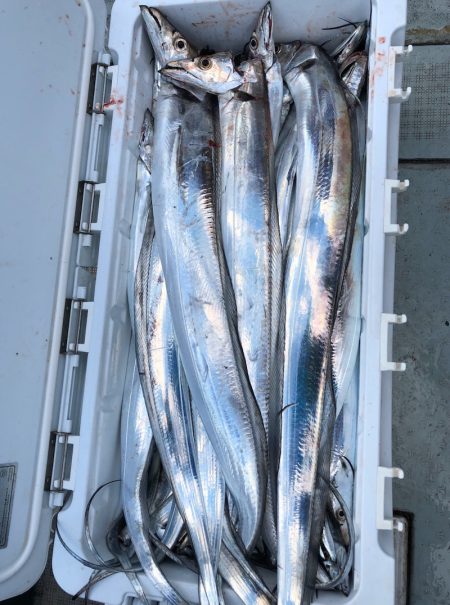 フィッシング　キッタカ 釣果