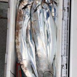 フィッシング キッタカ 釣果