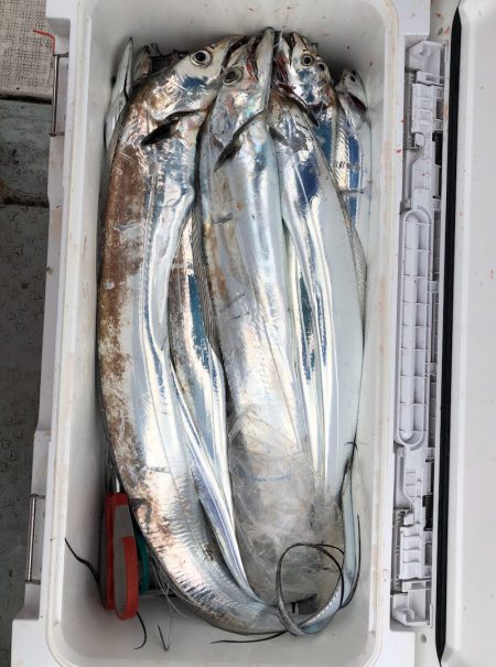 フィッシング キッタカ 釣果