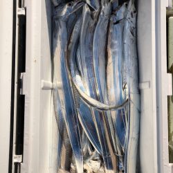 フィッシング キッタカ 釣果