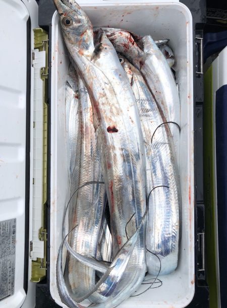 フィッシング キッタカ 釣果