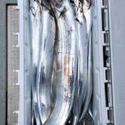 フィッシング キッタカ 釣果