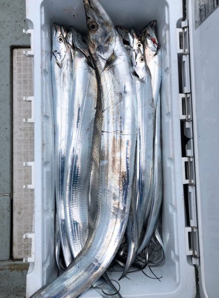 フィッシング キッタカ 釣果