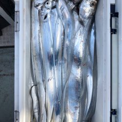 フィッシング キッタカ 釣果