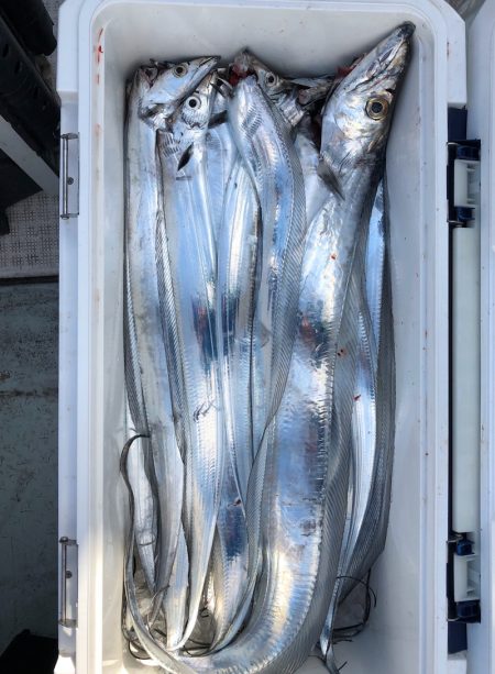 フィッシング キッタカ 釣果