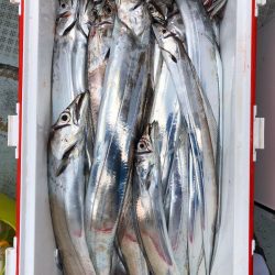 フィッシング キッタカ 釣果