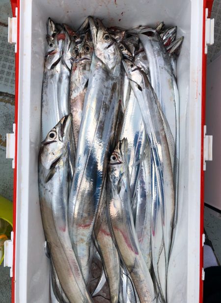 フィッシング キッタカ 釣果