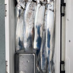 フィッシング キッタカ 釣果