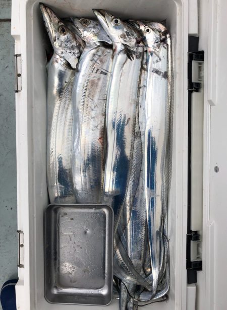 フィッシング キッタカ 釣果