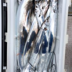 フィッシング キッタカ 釣果