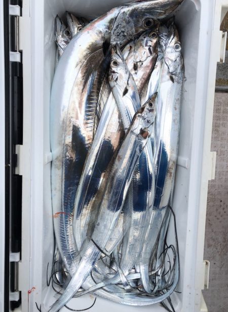 フィッシング キッタカ 釣果