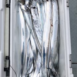 フィッシング キッタカ 釣果