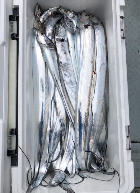 フィッシング キッタカ 釣果