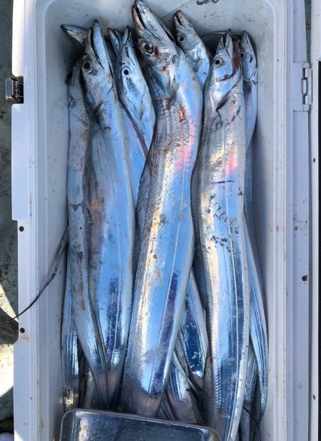 フィッシング キッタカ 釣果