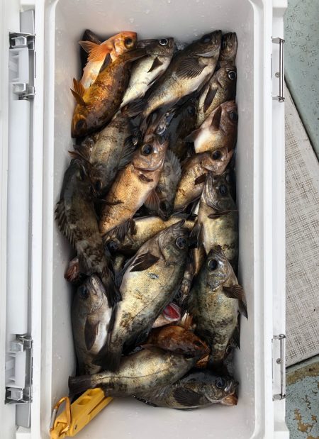 フィッシング　キッタカ 釣果